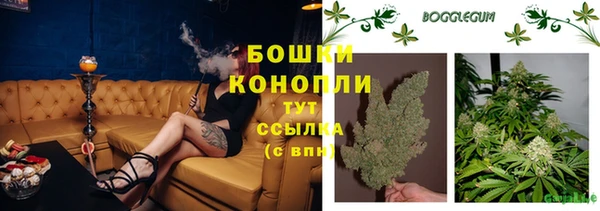 прущие грибы Арсеньев