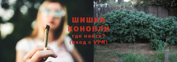 прущие грибы Арсеньев
