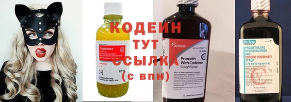 прущие грибы Арсеньев