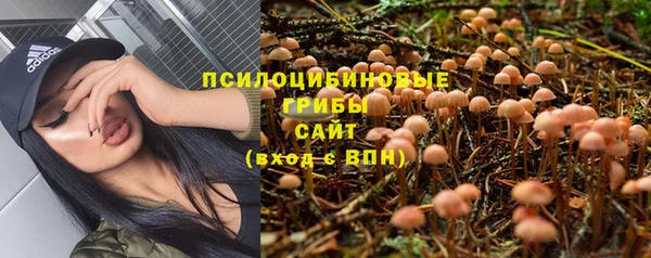 прущие грибы Арсеньев