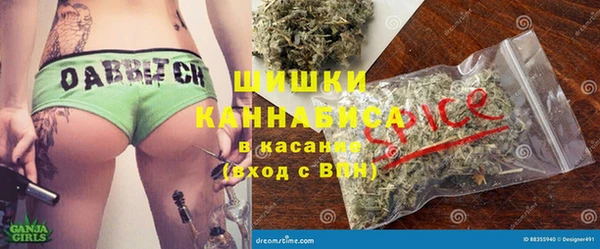 прущие грибы Арсеньев