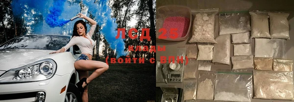 прущие грибы Арсеньев