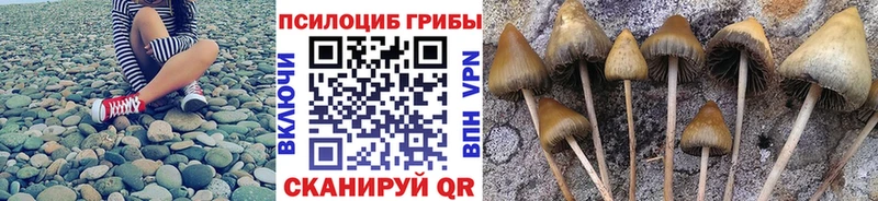 Галлюциногенные грибы мухоморы kraken ССЫЛКА Липки